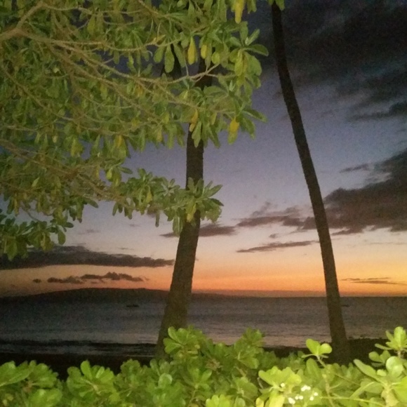 Meet your Posher, Cynthia - Picture 1 of 2